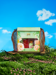 Pixi ROSE RADIANCE kit